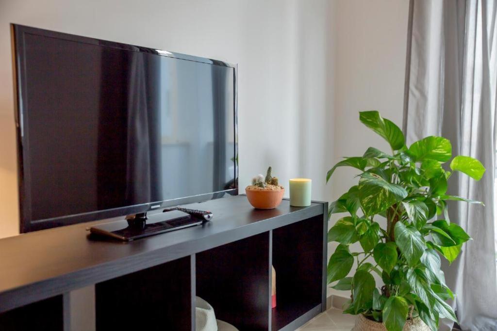 アルブフェイラ Smy Santa Eulalia Algarveアパートホテル 部屋 写真